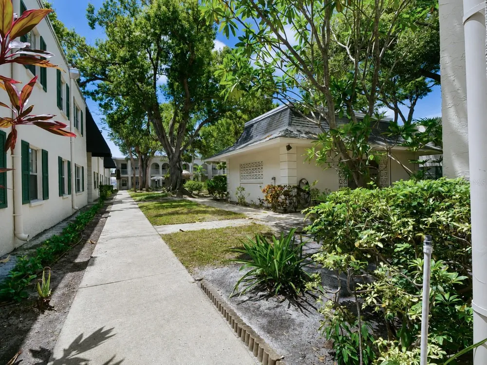 4335 AEGEAN DRIVE #116A Tampa, FL 33611