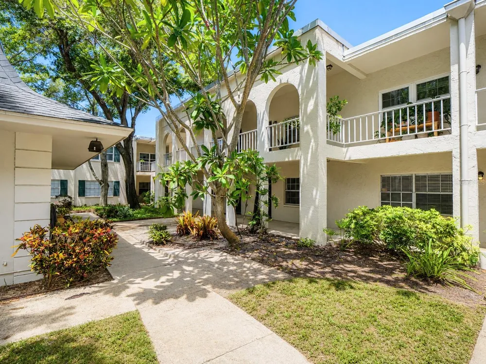 4335 AEGEAN DRIVE #116A Tampa, FL 33611