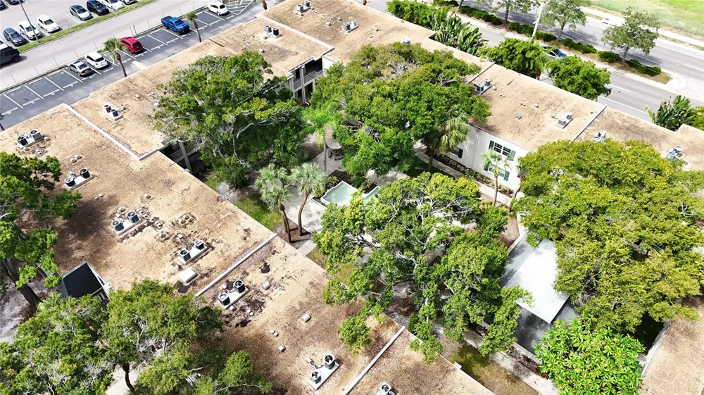 4335 AEGEAN DRIVE #116A Tampa, FL 33611