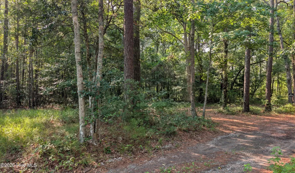 310 Sassafras Lane SW Supply, NC 28462