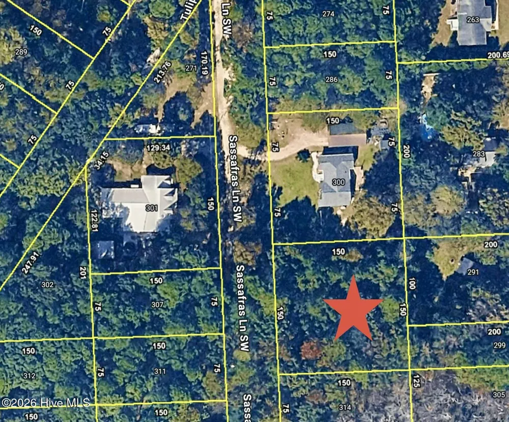 310 Sassafras Lane SW Supply, NC 28462