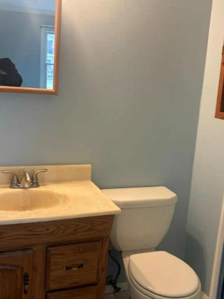 4603 Leisure Lane Trenton City, MI 48183