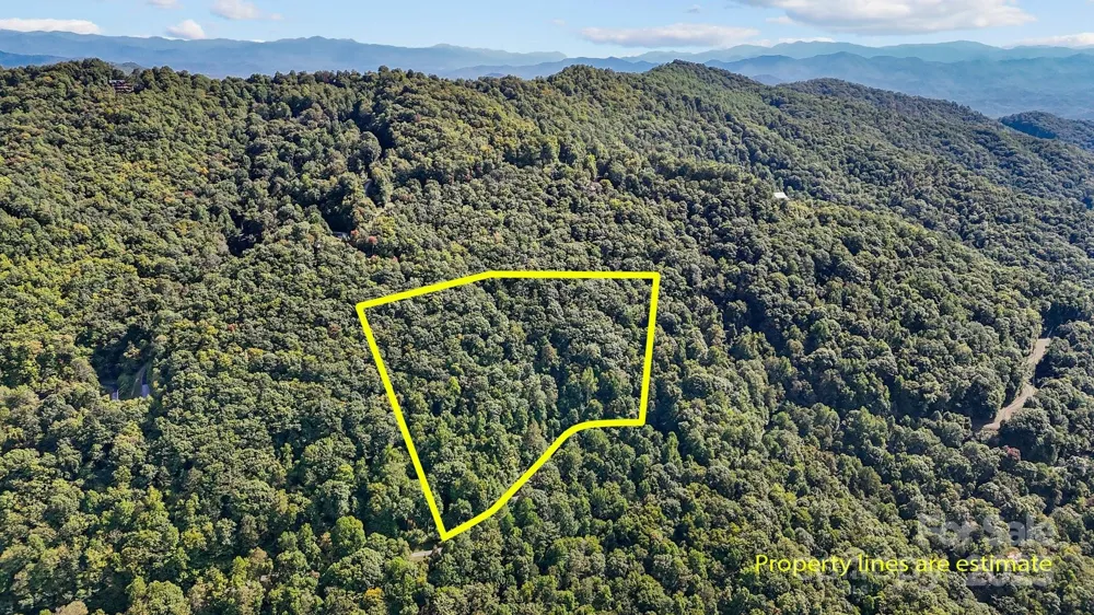 0 Brush Creek Mountain Road #41 Bryson City, NC 28713