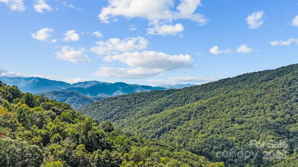 0 Brush Creek Mountain Road #41 Bryson City, NC 28713