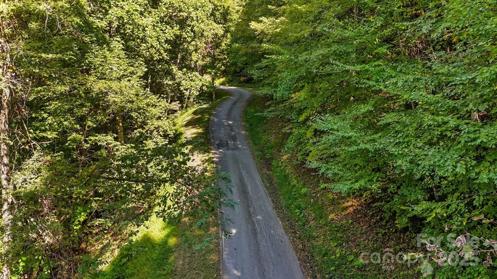0 Brush Creek Mountain Road #41 Bryson City, NC 28713