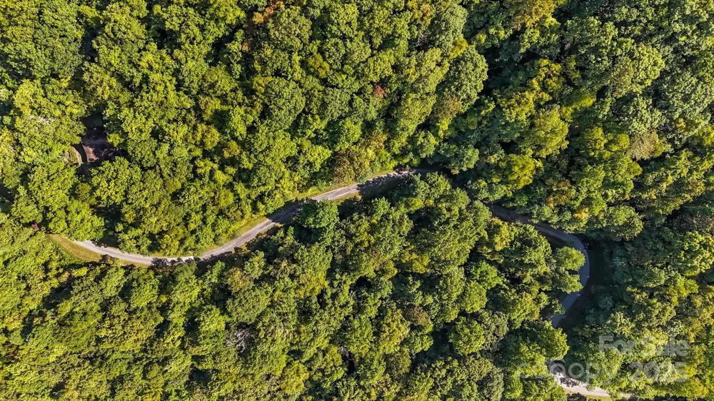 0 Brush Creek Mountain Road #41 Bryson City, NC 28713
