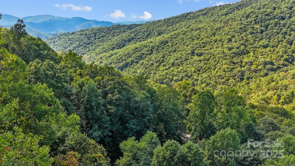 0 Brush Creek Mountain Road #41 Bryson City, NC 28713