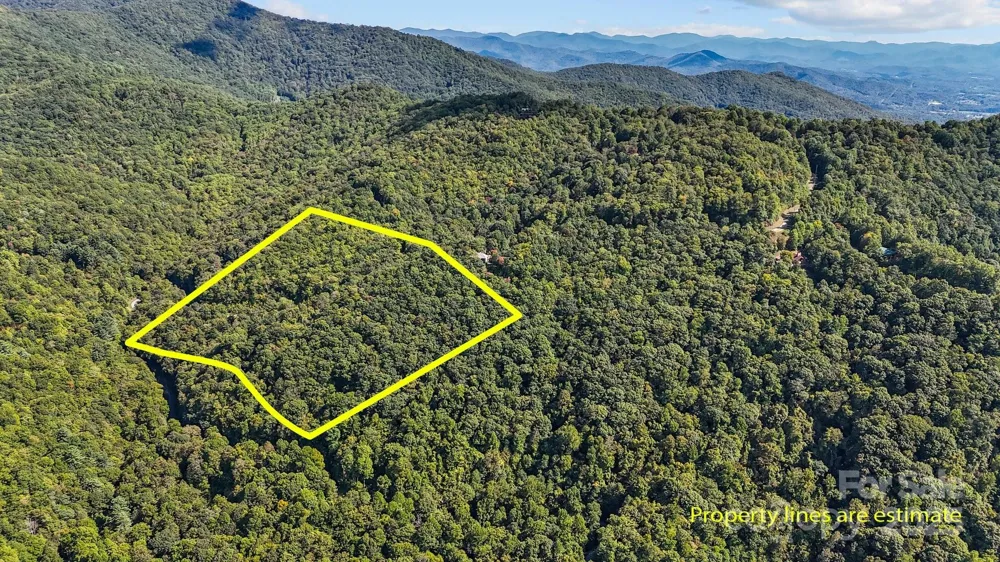 0 Brush Creek Mountain Road #41 Bryson City, NC 28713