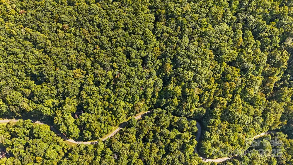 0 Brush Creek Mountain Road #41 Bryson City, NC 28713