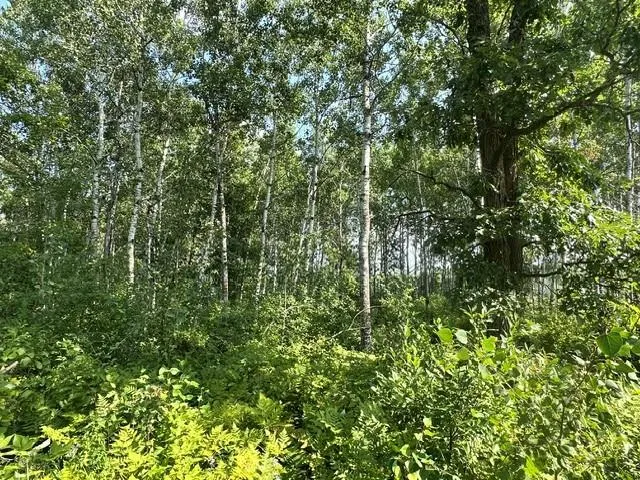 38542 Cr-45 Laporte, MN 56461