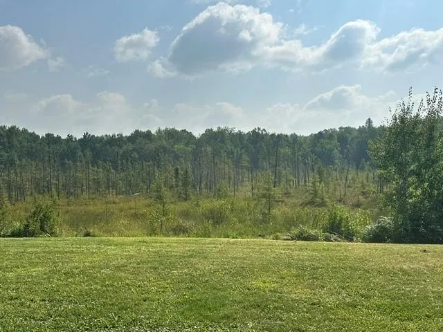 38542 Cr-45 Laporte, MN 56461
