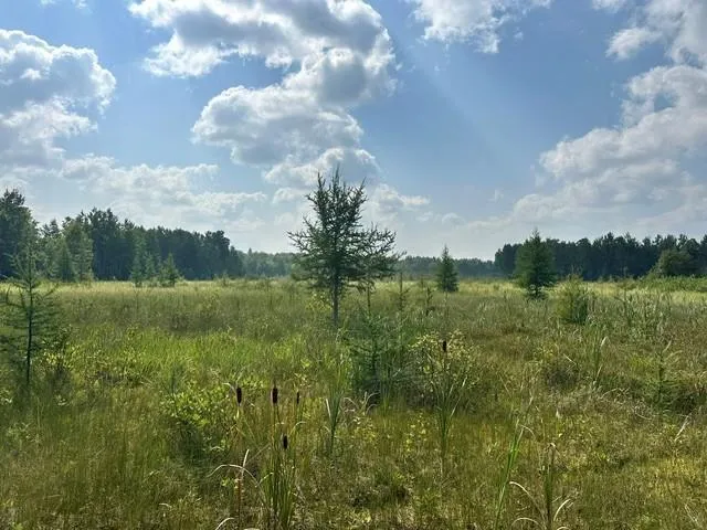 38542 Cr-45 Laporte, MN 56461