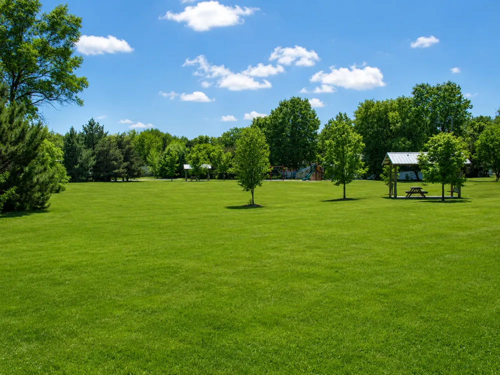 124 4th Avenue #2 Miltona, MN 56354