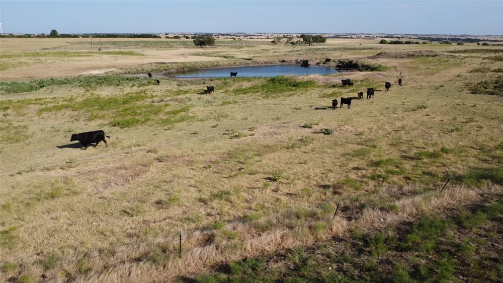 1630 Fm 1198 Muenster, TX 76252