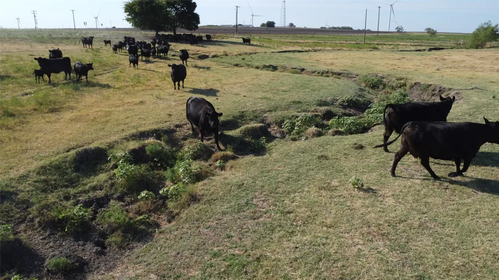 1630 Fm 1198 Muenster, TX 76252