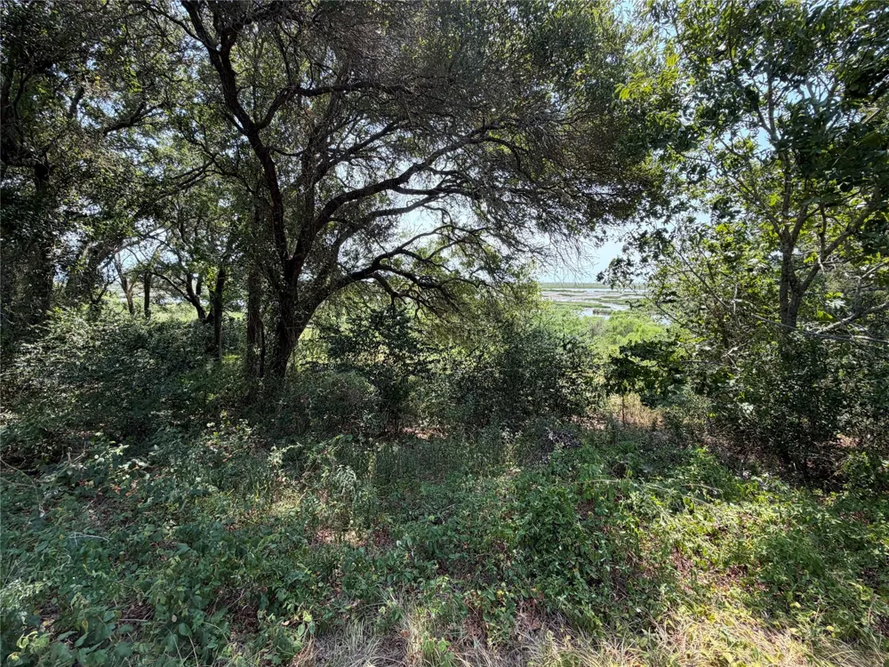 1433 Kane Lane High Island, TX 77623