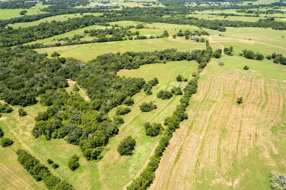 Cedar Hill Road Brenham, TX 77833