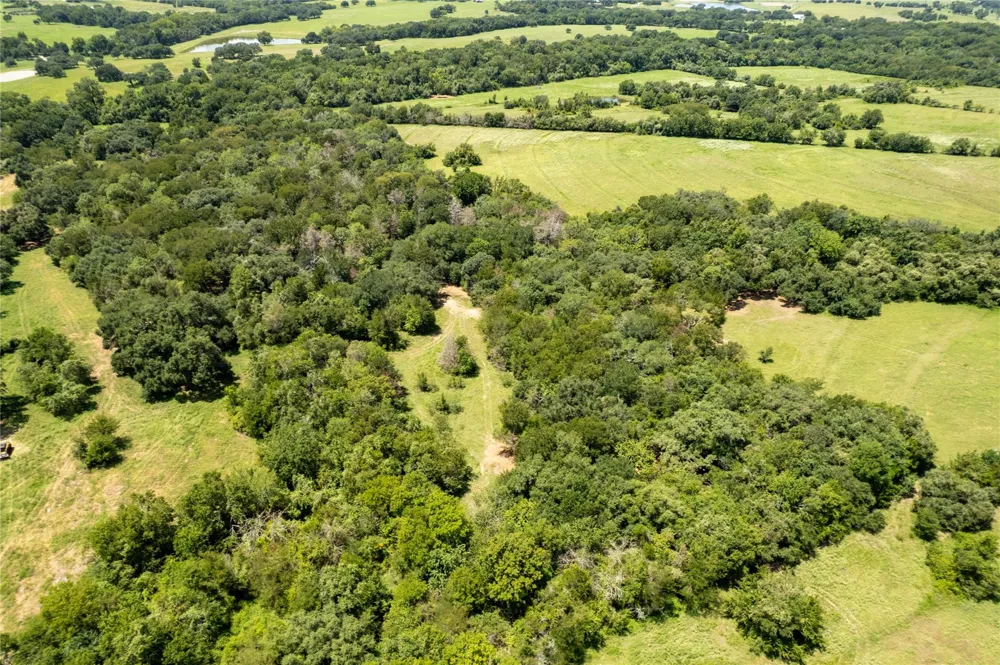Cedar Hill Road Brenham, TX 77833
