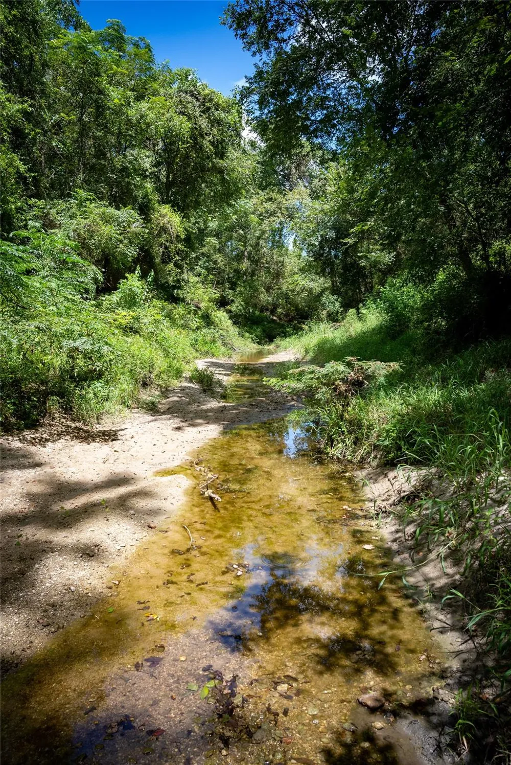 Cedar Hill Road Brenham, TX 77833