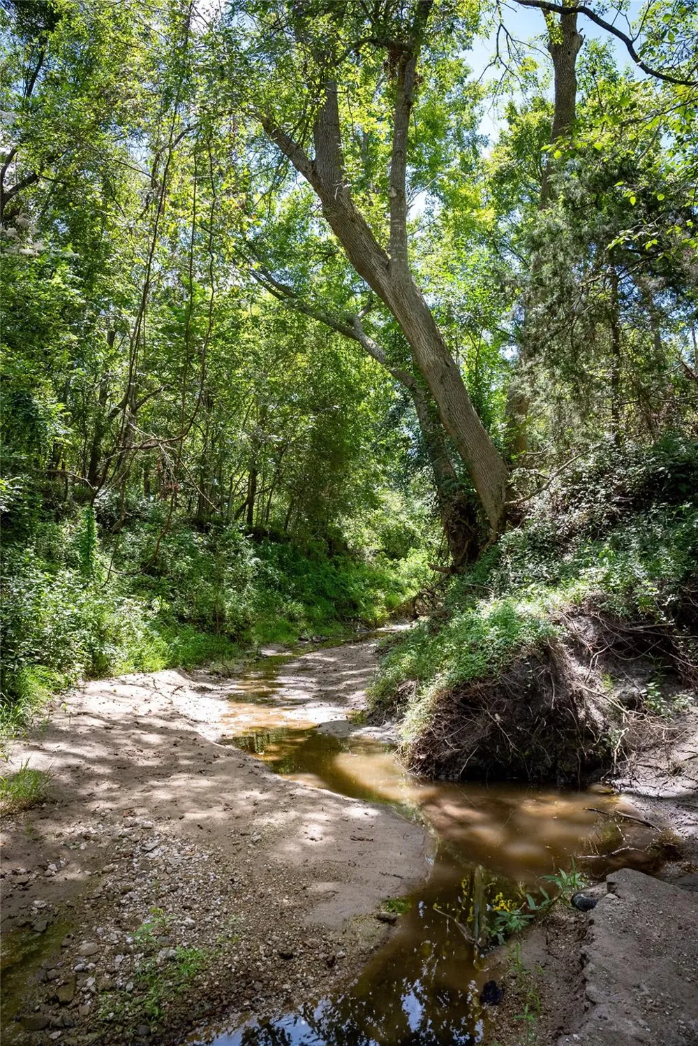 Cedar Hill Road Brenham, TX 77833