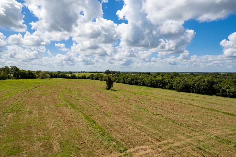 Cedar Hill Road Brenham, TX 77833