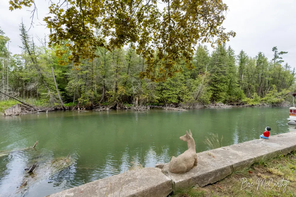 7847 Lake Street Alanson Village, MI 49706