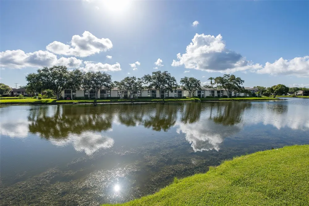 160 LAKEVIEW WAY #160 Oldsmar, FL 34677