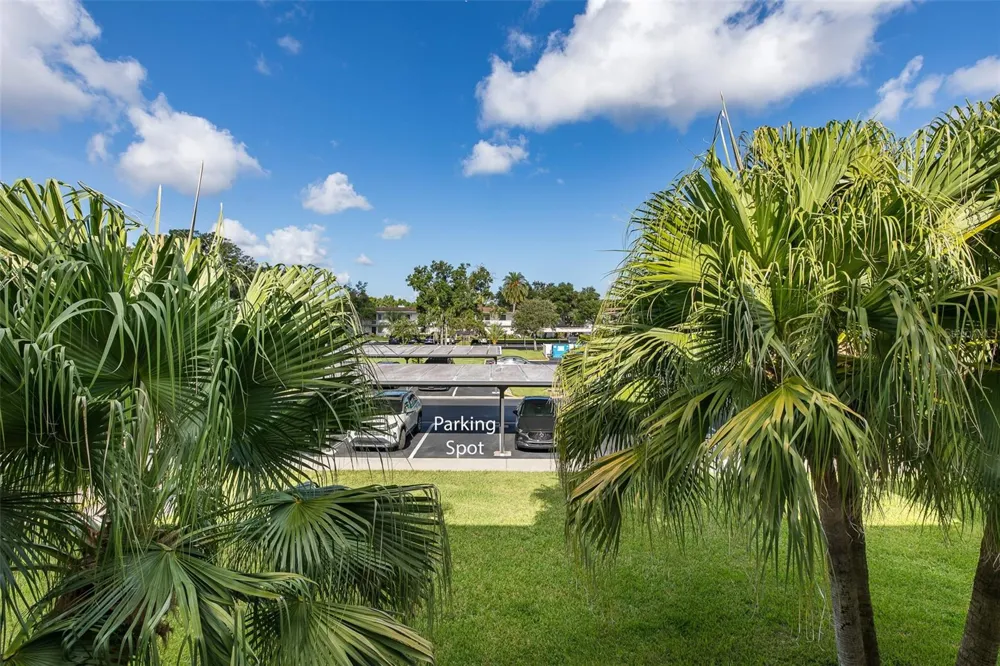 160 LAKEVIEW WAY #160 Oldsmar, FL 34677