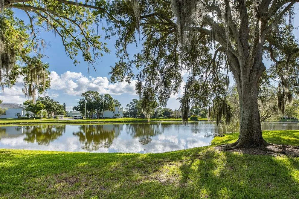 160 LAKEVIEW WAY #160 Oldsmar, FL 34677