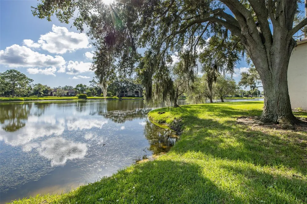160 LAKEVIEW WAY #160 Oldsmar, FL 34677