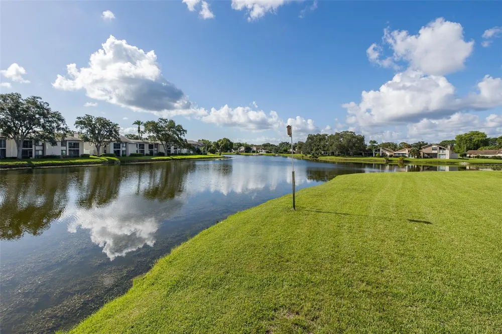 160 LAKEVIEW WAY #160 Oldsmar, FL 34677