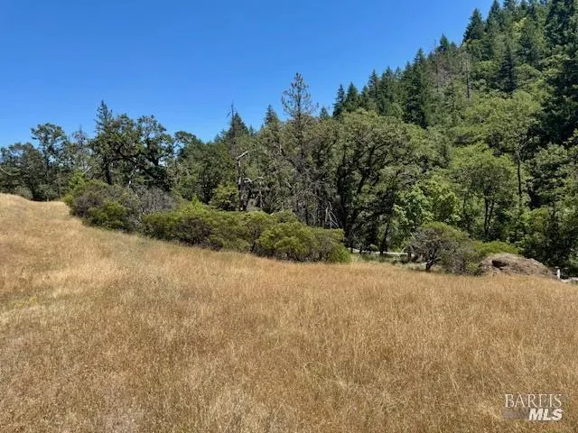 6355 First Gate Road Willits, CA 95490