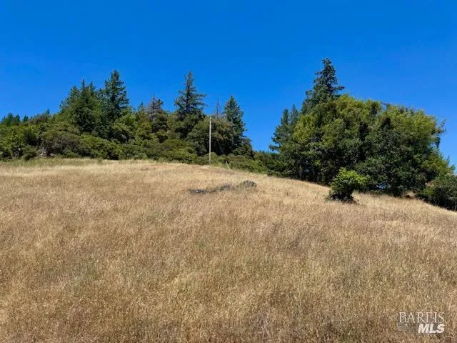 6355 First Gate Road Willits, CA 95490