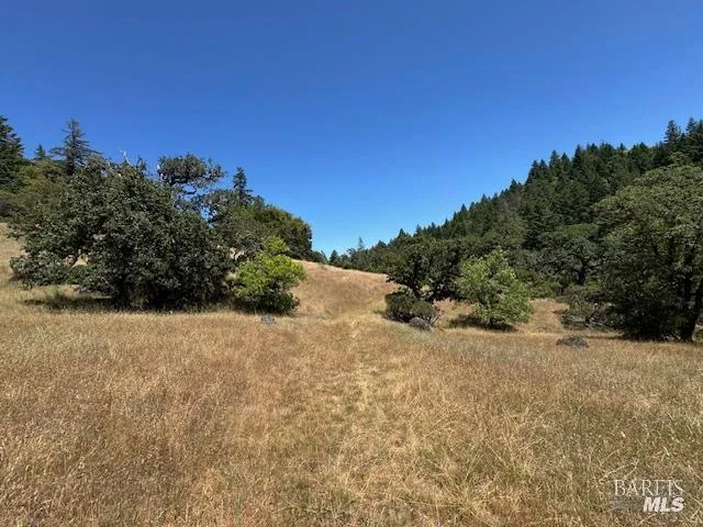 6355 First Gate Road Willits, CA 95490