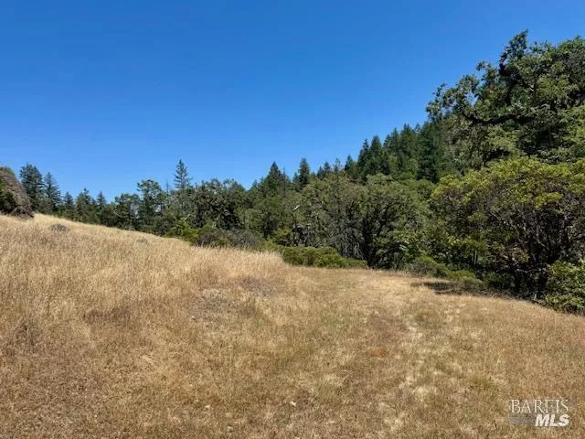 6355 First Gate Road Willits, CA 95490