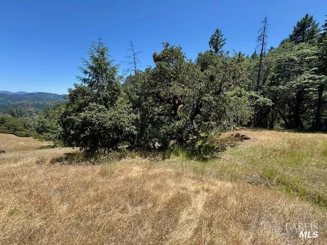 6355 First Gate Road Willits, CA 95490