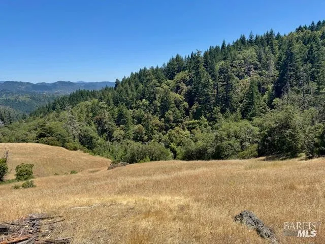 6355 First Gate Road Willits, CA 95490