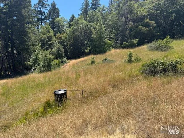 6355 First Gate Road Willits, CA 95490