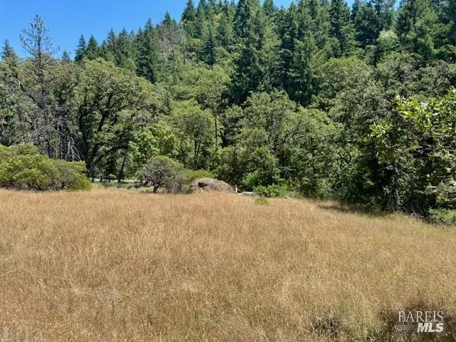 6355 First Gate Road Willits, CA 95490