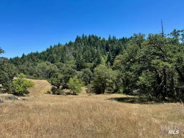 6355 First Gate Road Willits, CA 95490