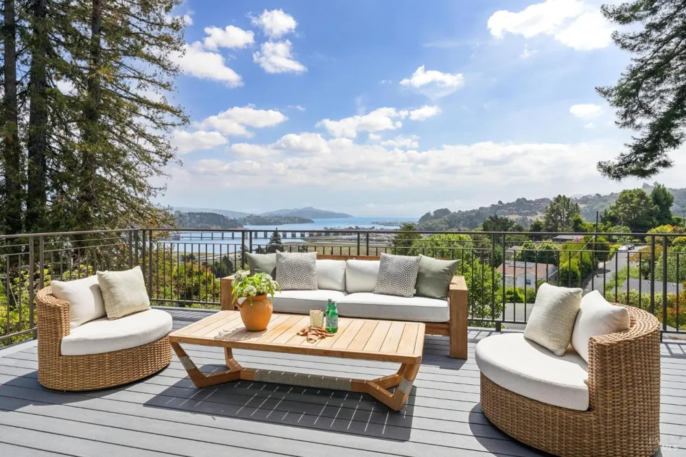 217 Cleveland Avenue Mill Valley, CA 94941
