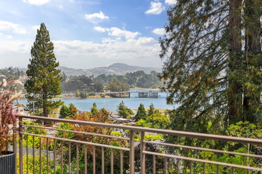 217 Cleveland Avenue Mill Valley, CA 94941