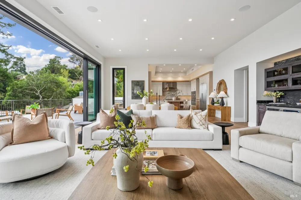 217 Cleveland Avenue Mill Valley, CA 94941