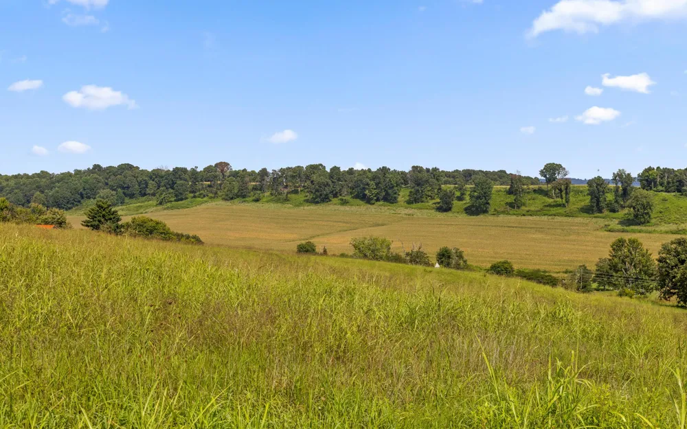 1050 Blue Springs Road Sweetwater, TN 37874