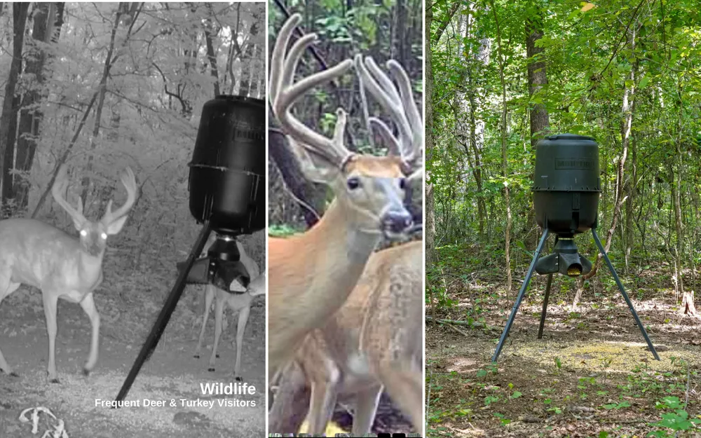 1050 Blue Springs Road Sweetwater, TN 37874