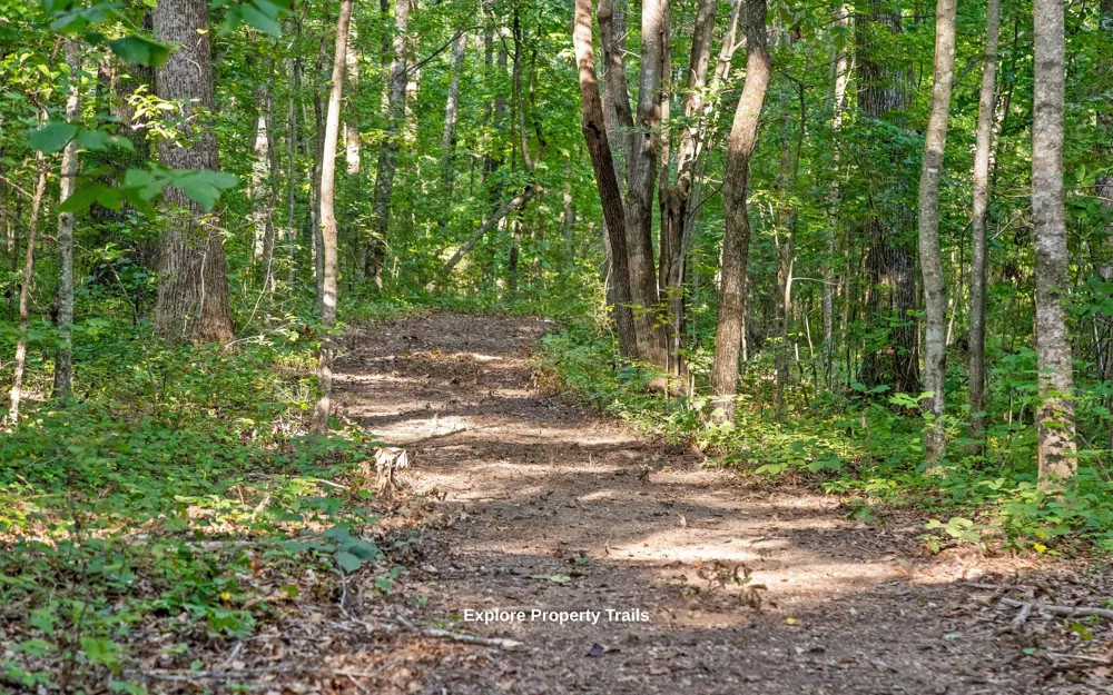 1050 Blue Springs Road Sweetwater, TN 37874