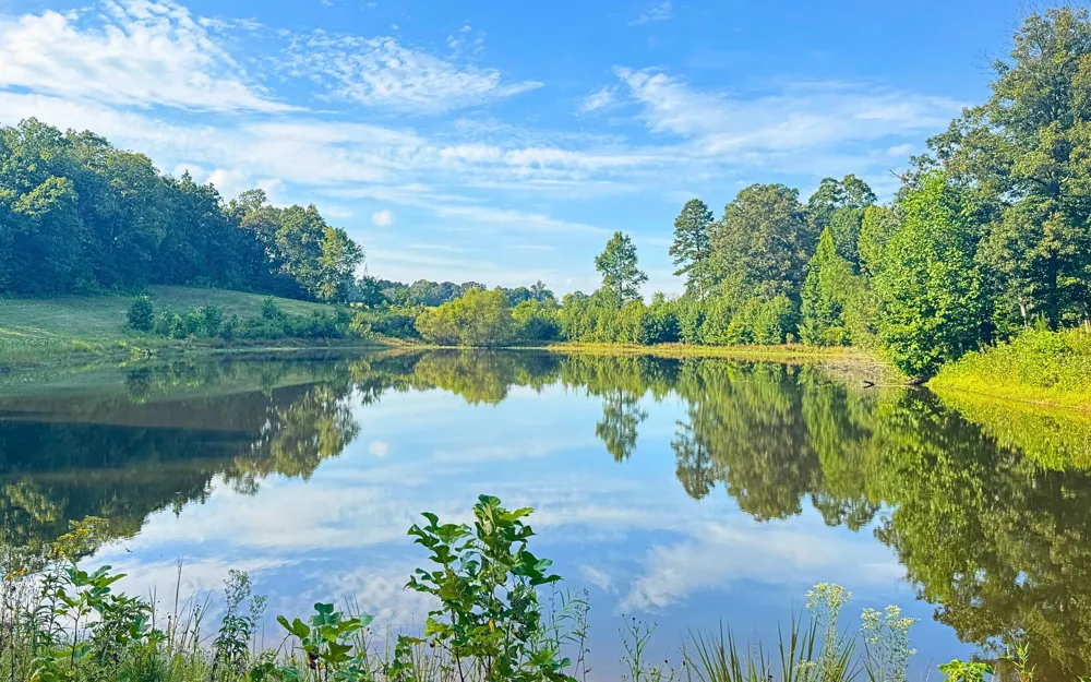 1050 Blue Springs Road Sweetwater, TN 37874