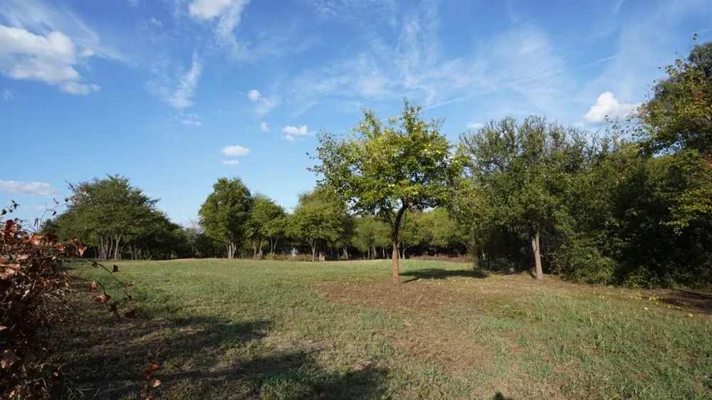 14215 County Road 606 Lot 2 Farmersville, TX 75442