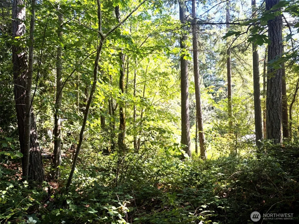 0 Oak Street Quilcene, WA 98376
