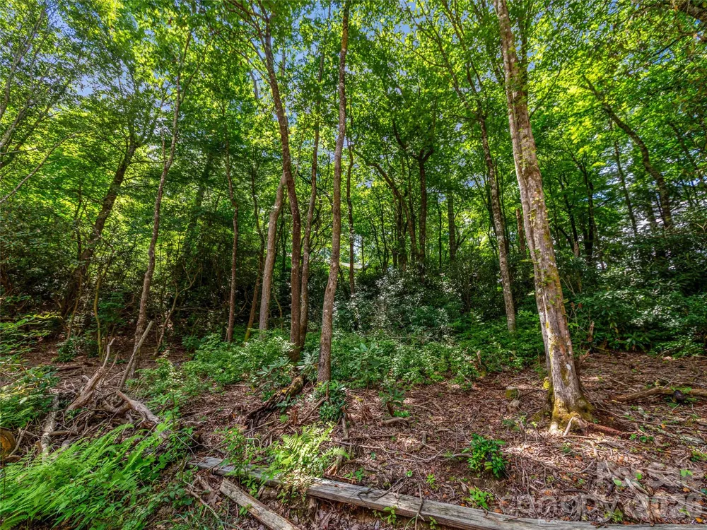 TBD Seminole Way Lake Toxaway, NC 28747